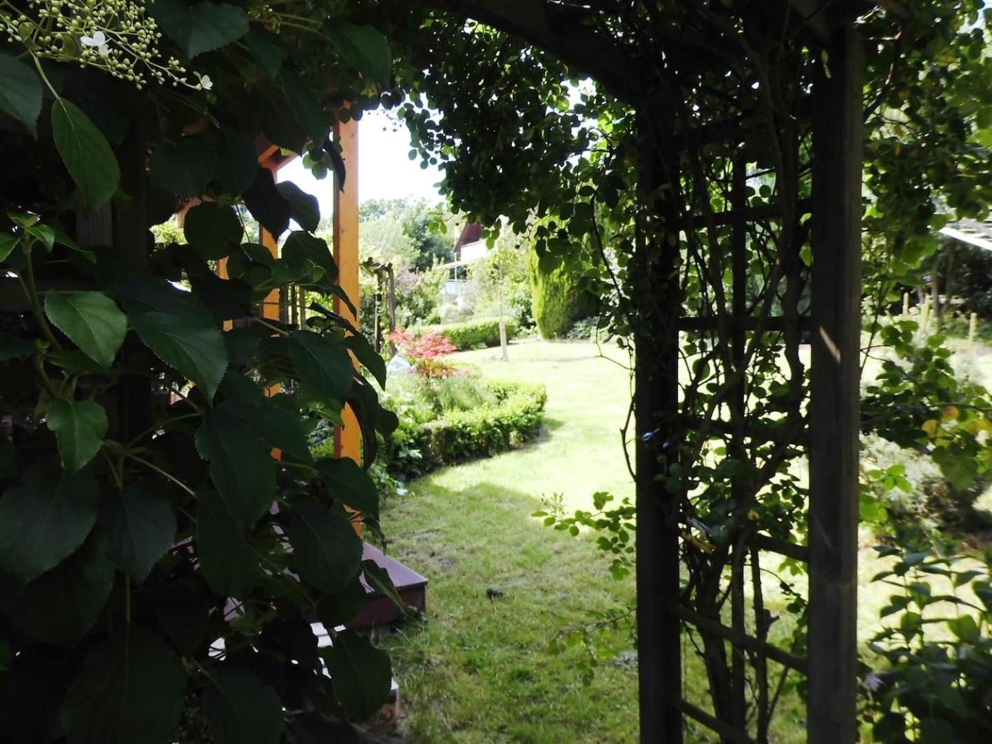 Farbenfrohe Ferienwohnung Detmold Esterno foto