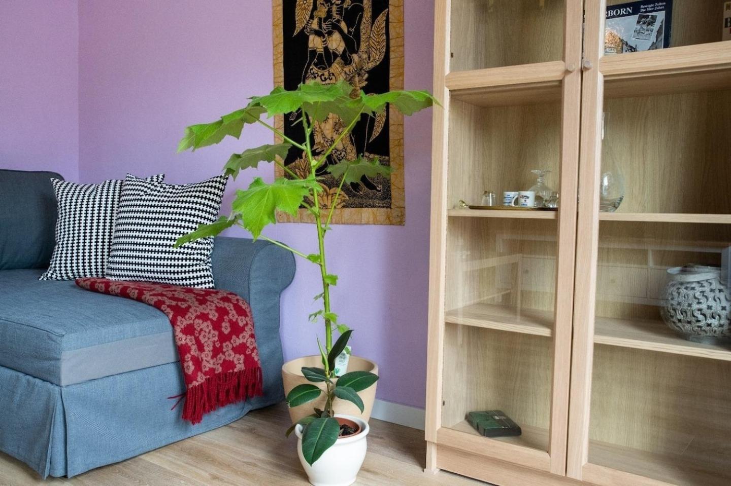 Farbenfrohe Ferienwohnung Detmold Esterno foto